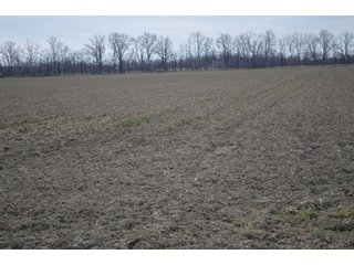 Property photo 43 - 175 Acres Offered in 5 Tracts - Tontogany, Ohio Farm Land Auction